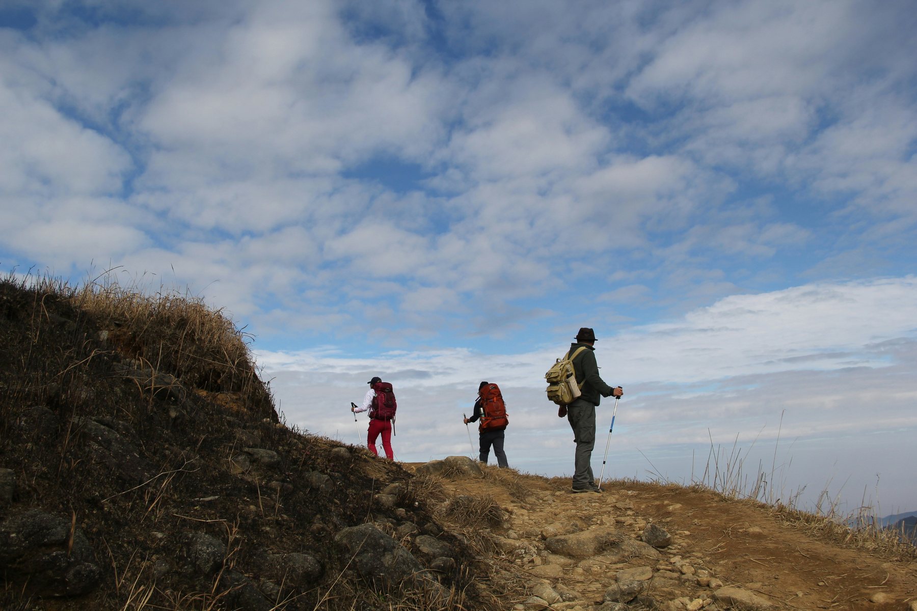 Mountain Trails photo 3